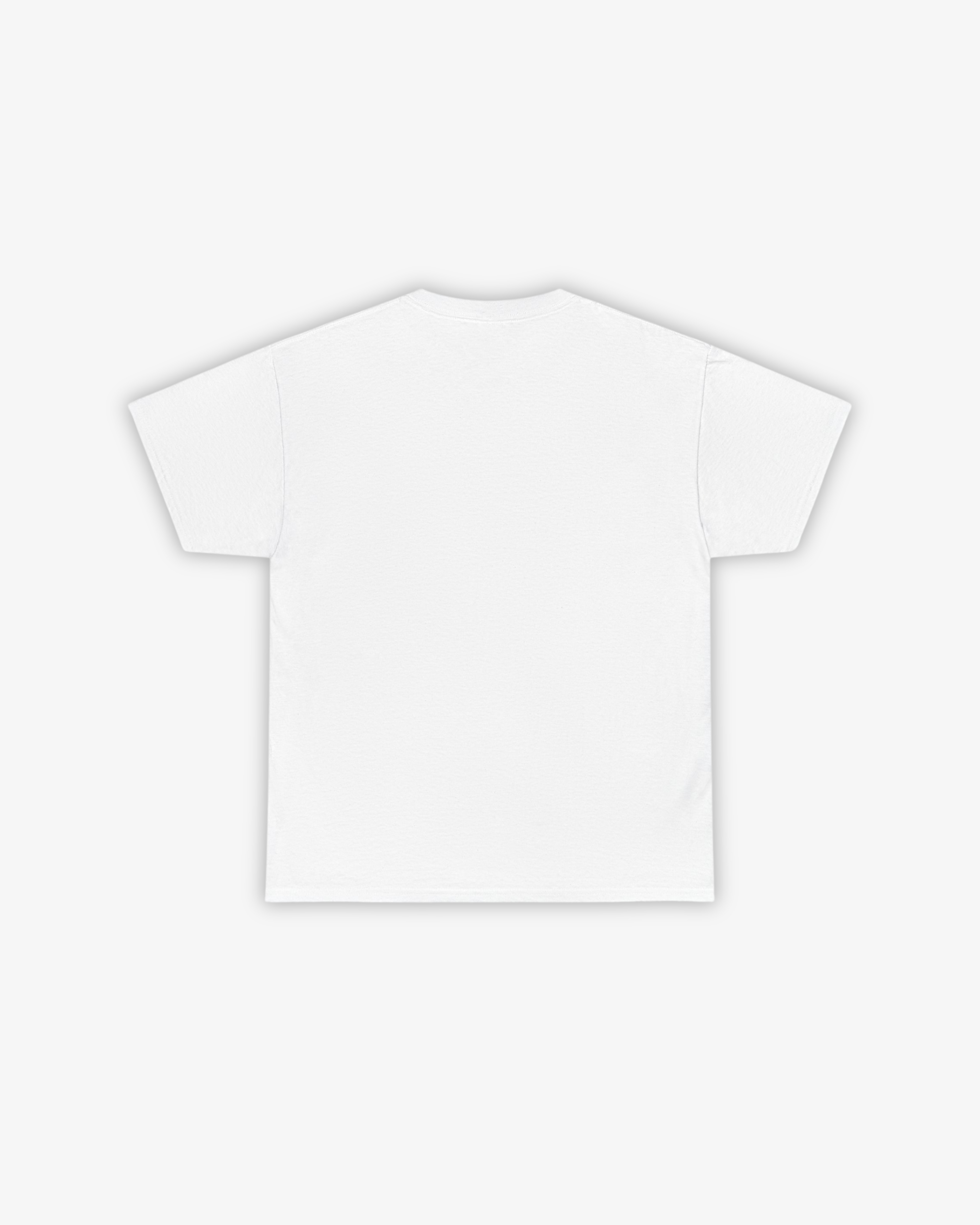 HAVE YOU HEARD IT T-SHIRT